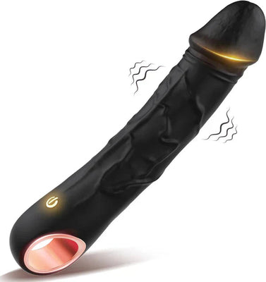 Vibromasseur anal 2 en 1, gode, masseur de prostate et plug anal avec 10 modes de vibration