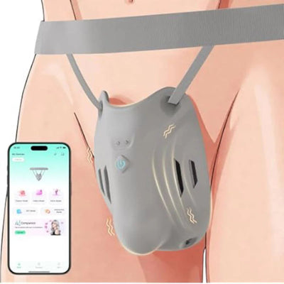 Cage pénienne portable, ceinture de chasteté BDSM, appareil d'entraînement pour testicules avec 9 modes et contrôle via application