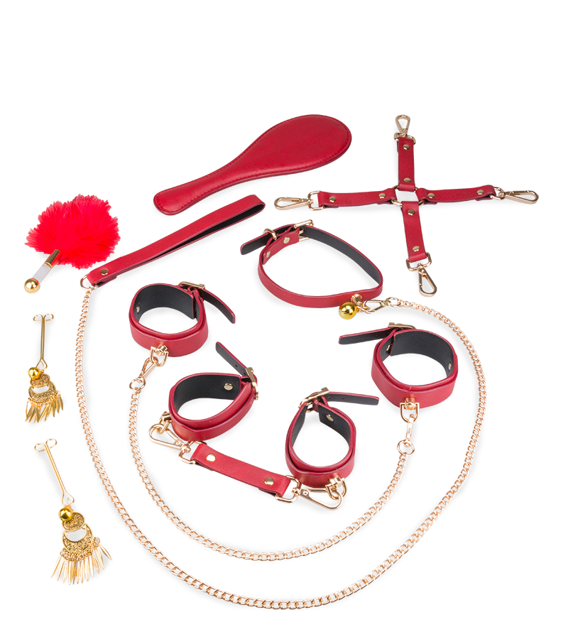 Coffret BDSM élégant 8 pièces