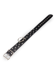 Charger l'image dans la galerie, Collier BDSM rivets et anneaux avec laisse