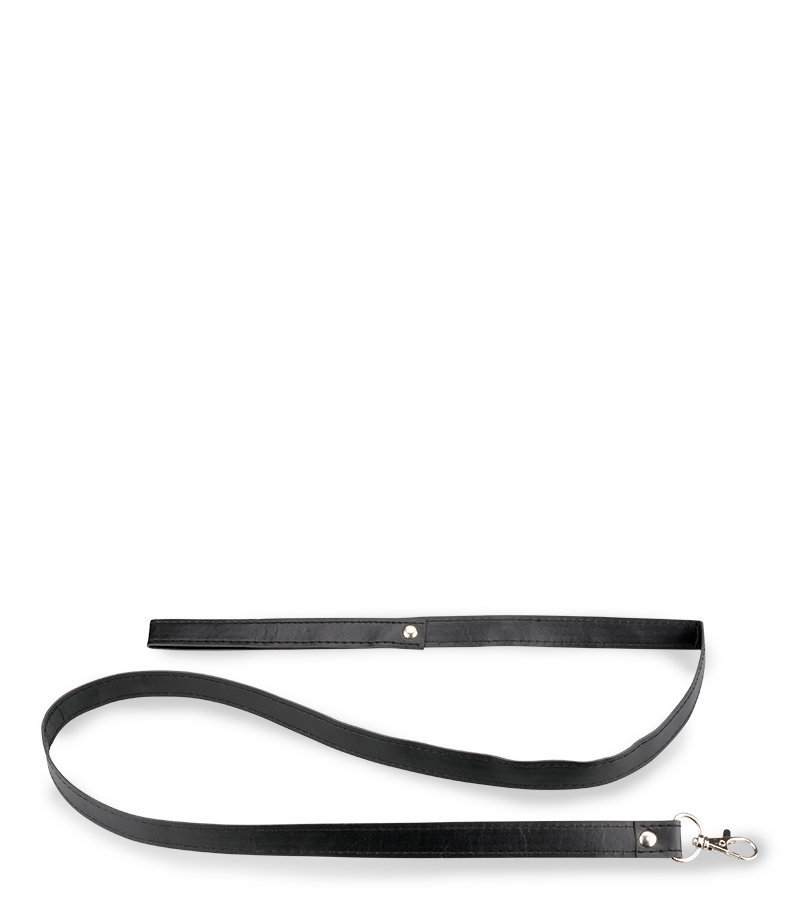 Collier cuir et laisse cuir BDSM