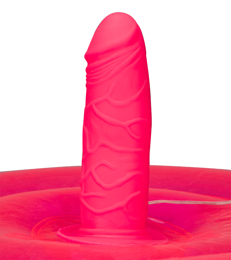 Coussin gonflable rond avec gode vibrant Ride Me