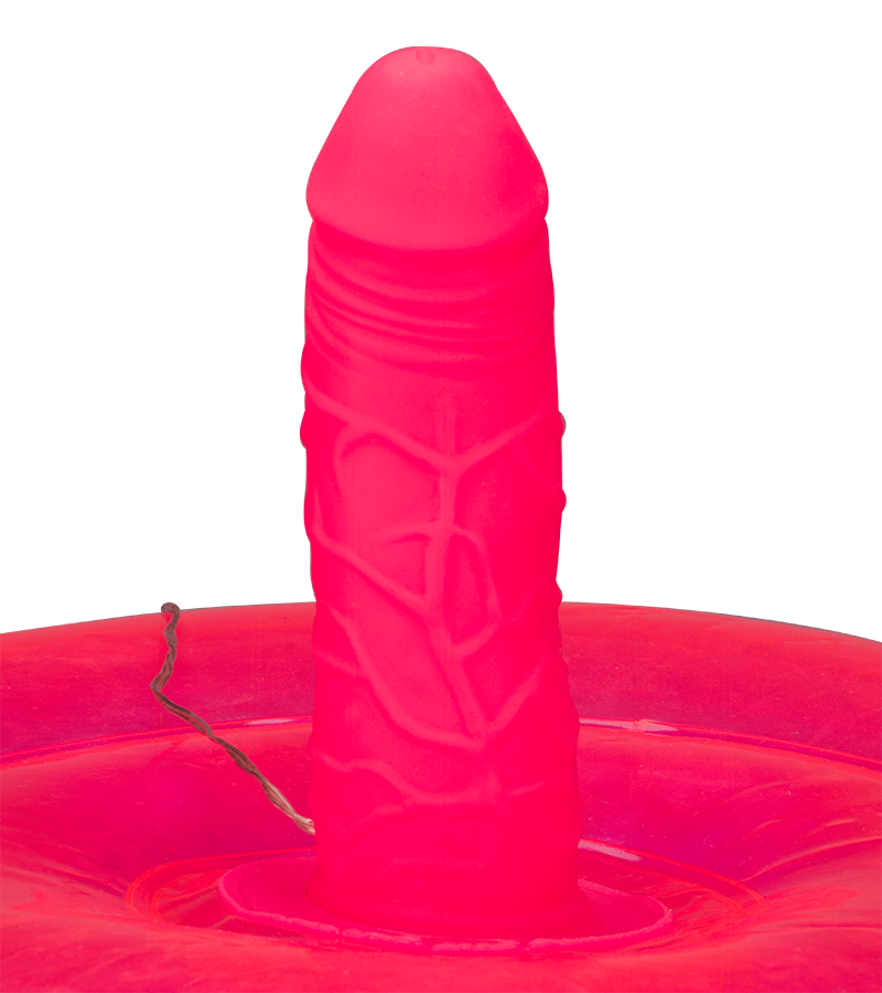 Coussin gonflable rond avec gode vibrant Ride Me