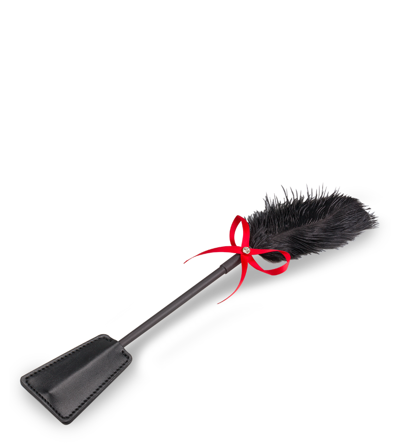 Cravache BDSM et plumeau 2-en-1