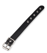 Charger l'image dans la galerie, Laisse Cuir BDSM Pour Pénis