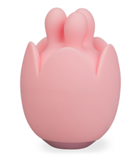 Charger l'image dans la galerie, Masseur de clitoris vibrant Diez