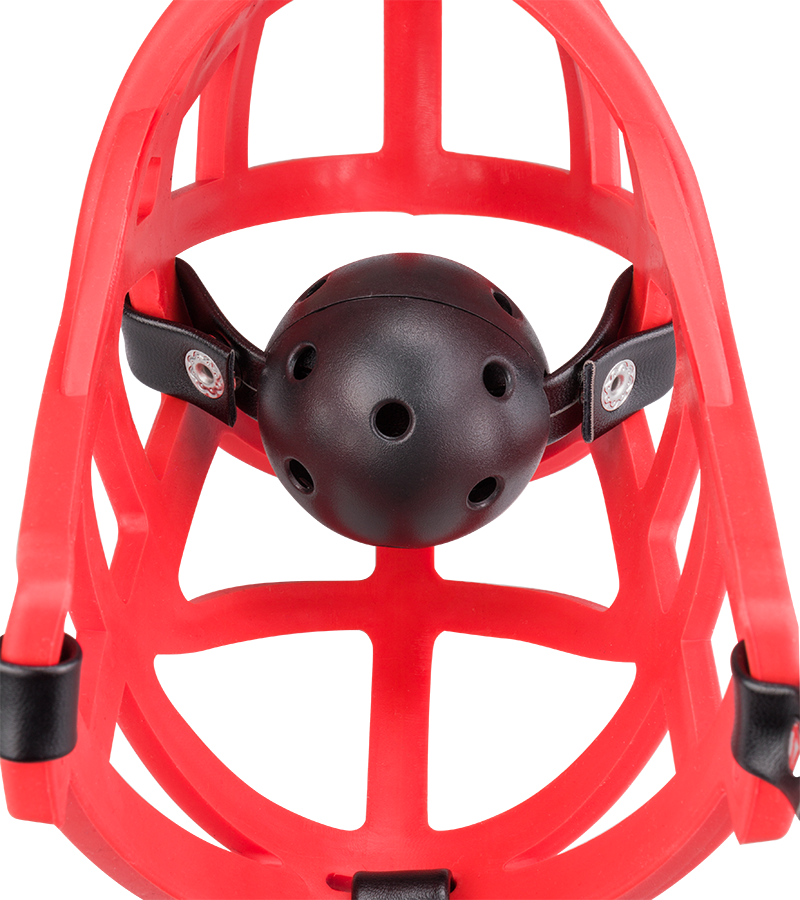 Muselière avec gag-ball amovible