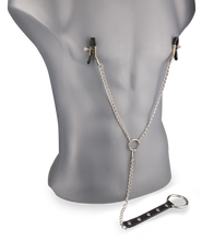 Charger l'image dans la galerie, Pinces à seins + cockring métal