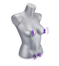 Charger l'image dans la galerie, Pinces à tétons et clitoris vibrantes Kim