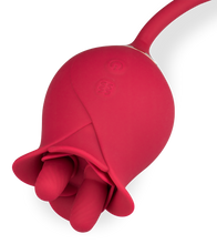 Charger l'image dans la galerie, Stimulateur de clitoris avec vibromasseur va-et-vient Bora-Bora