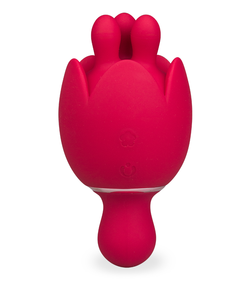 Stimulateur et masseur de clitoris Bis