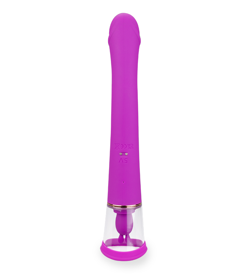 Vibromasseur rabbit avec pompe à vagin Fine